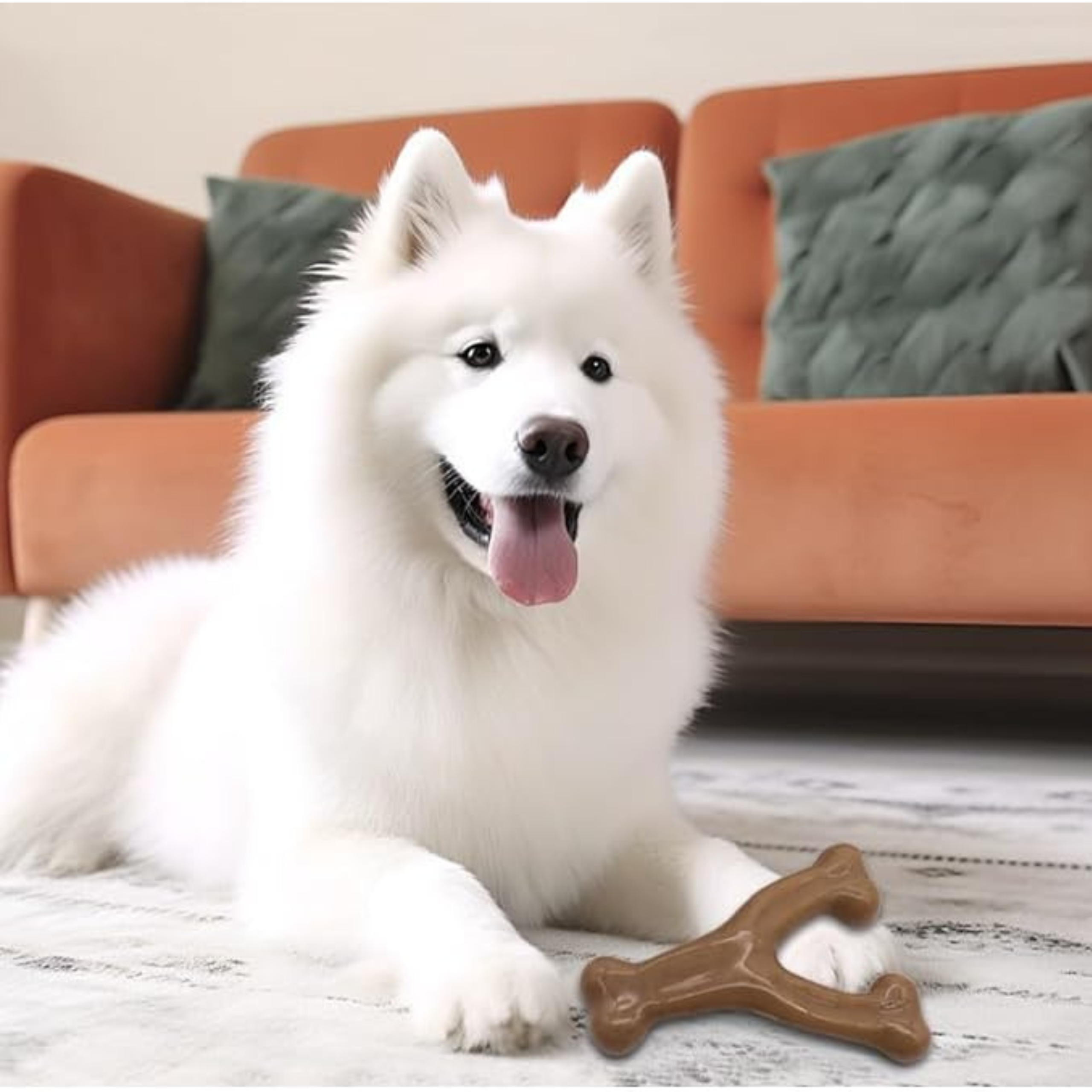 Durable Wishbone Dog Chew Toy for Aggressive Chewers – Bacon & Peanut Flavor