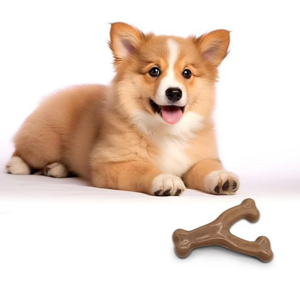 Durable Wishbone Dog Chew Toy for Aggressive Chewers – Bacon & Peanut Flavor