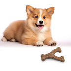 Durable Wishbone Dog Chew Toy for Aggressive Chewers – Bacon & Peanut Flavor