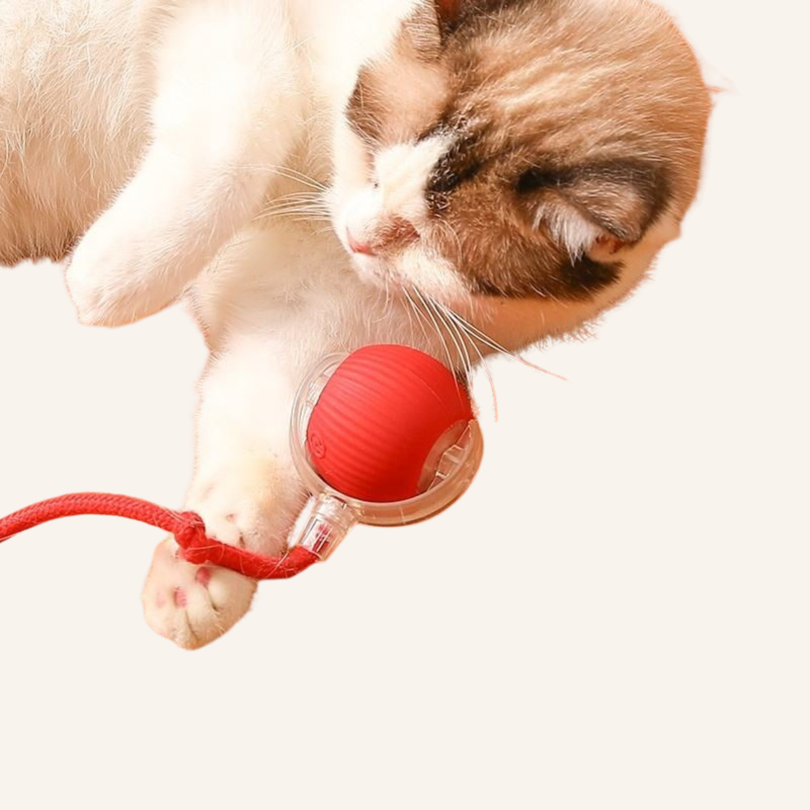 Interactive Cat Toy Ball with Moving Tail – Motion Activated