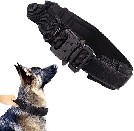 Tactical Dog Collar with Airtag Holder