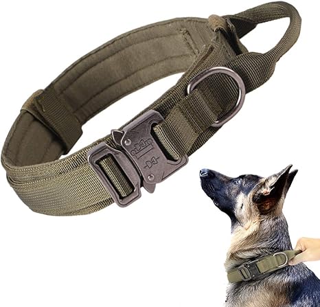 Tactical Dog Collar with Airtag Holder
