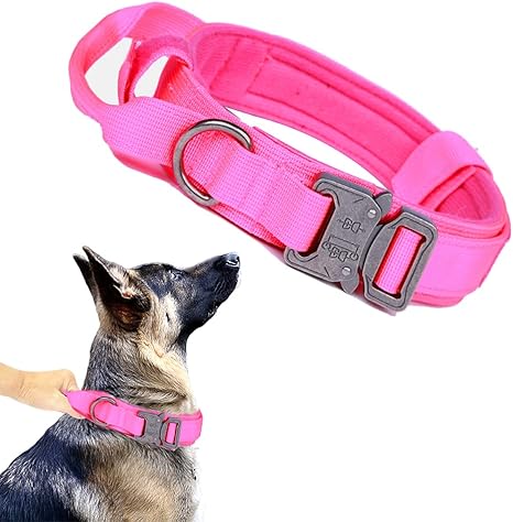 Tactical Dog Collar with Airtag Holder