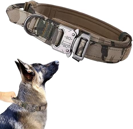 Tactical Dog Collar with Airtag Holder