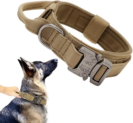 Tactical Dog Collar with Airtag Holder