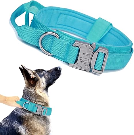 Tactical Dog Collar with Airtag Holder