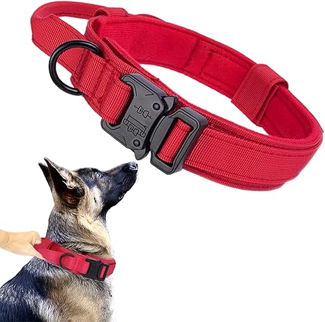 Tactical Dog Collar with Airtag Holder