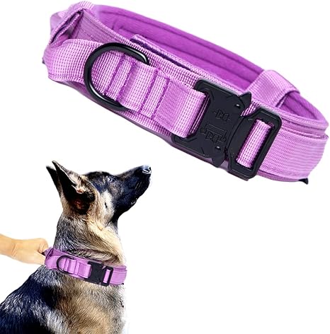 Tactical Dog Collar with Airtag Holder