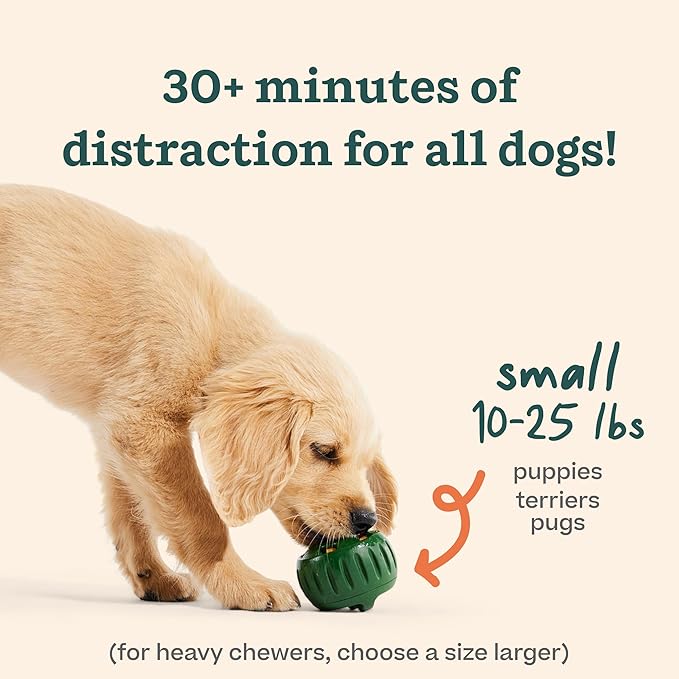 Interactive Dog Enrichment Toy Starter Pack with Treat Molds