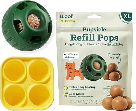 Interactive Dog Enrichment Toy Starter Pack with Treat Molds