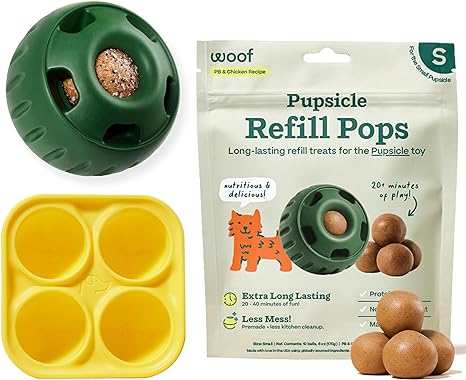 Interactive Dog Enrichment Toy Starter Pack with Treat Molds