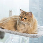 Foldable Cat Window Perch Hammock with Metal Frame & Suction Cups