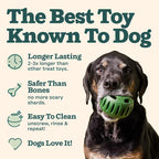 Interactive Dog Enrichment Toy Starter Pack with Treat Molds