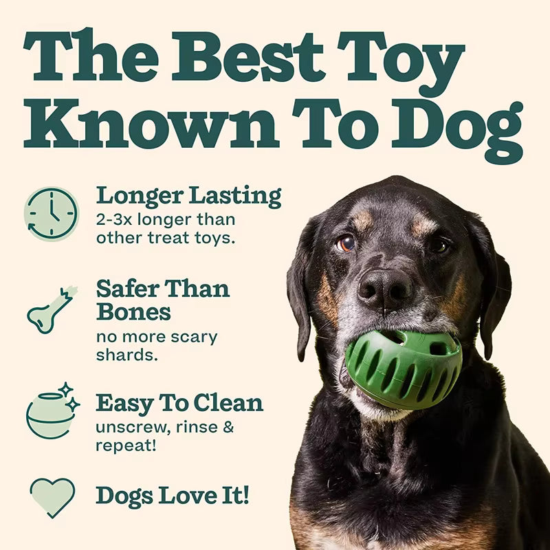 Interactive Dog Enrichment Toy Starter Pack with Treat Molds