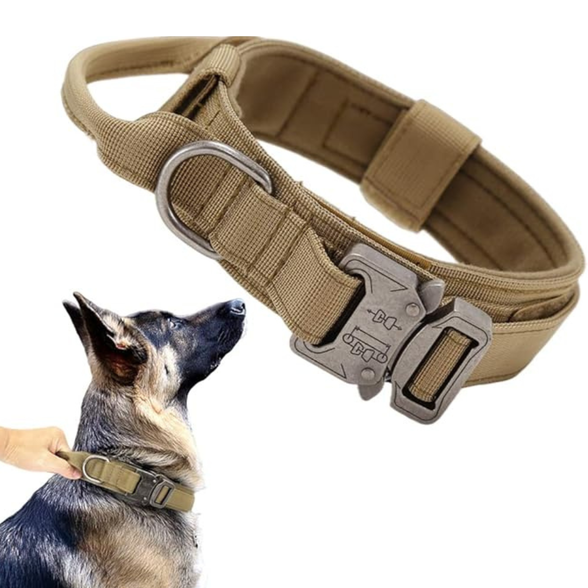Tactical Dog Collar with Airtag Holder
